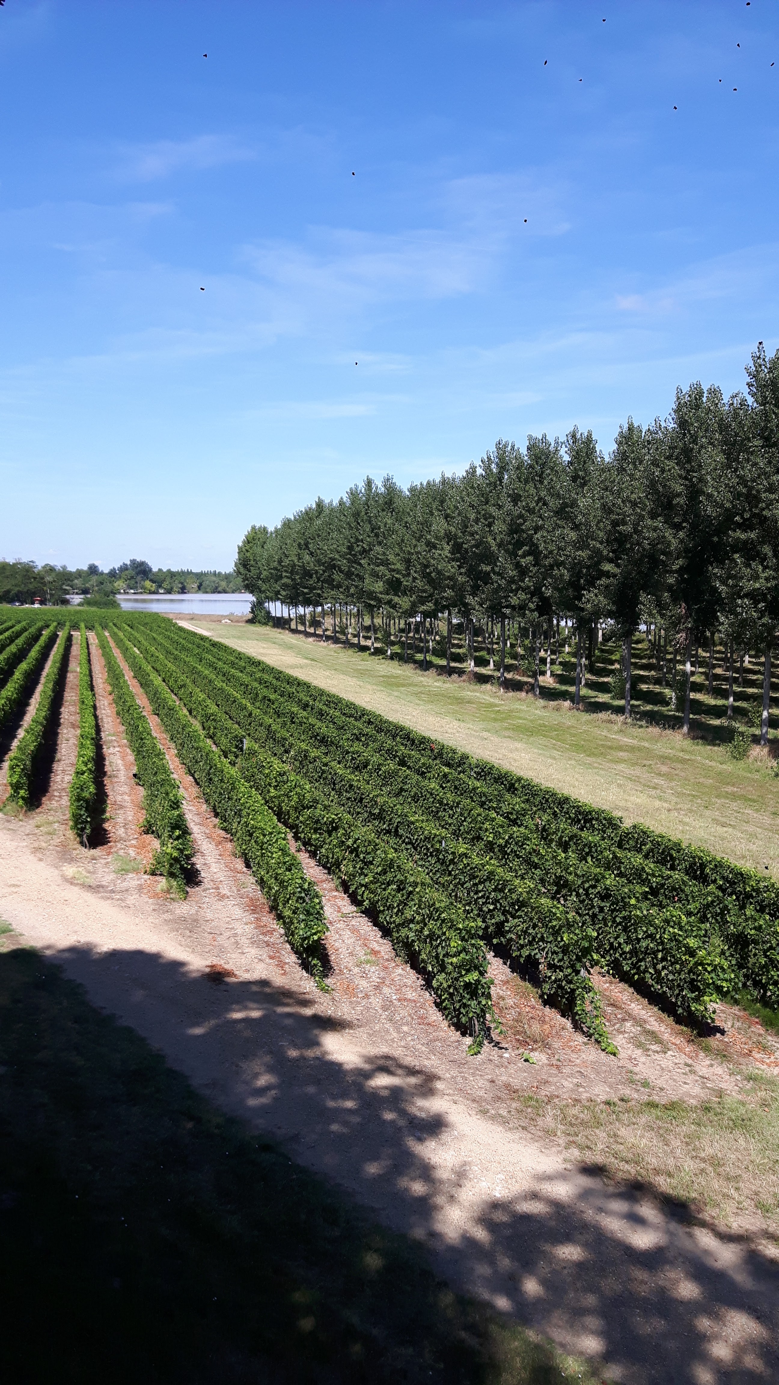 Photo n° 3 de l'avis de Veronique.r fait le 15/08/2018 à 10:51