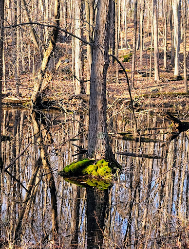 National Park «Home of Franklin D. Roosevelt National Historic Site», reviews and photos