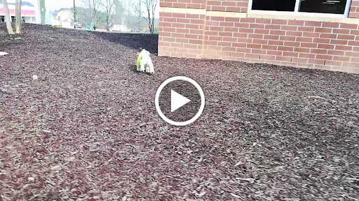 Thrift Store «GCF Donation Center & Store (Highway 42)», reviews and photos