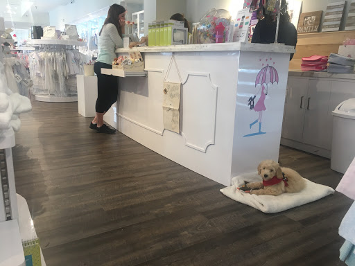 Baby Store «Shower Me With Love», reviews and photos, 4845 Ashley Park Ln, Charlotte, NC 28210, USA