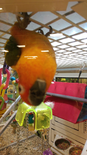 Pet Supply Store «PetSmart», reviews and photos, 13337 Worth Ave, Woodbridge, VA 22192, USA