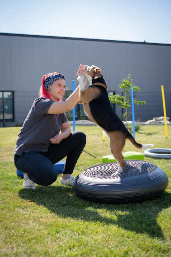 Tiertherapiezentrum am Chemnitz Center unter Chemnitz, 
