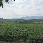 Photo n°2 de l'avis de Daniela.u fait le 15/09/2020 à 14:50 sur le  VintageTheory - Boutique Porto Winery à Sabrosa