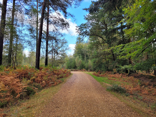 Natural parks nearby Portsmouth