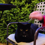 Photo n°8 de l'avis de Ben.e fait le 23/10/2023 à 14:25 sur le  Badia di Pomaio à Arezzo