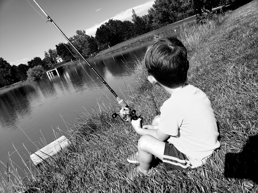 Park «Cherry Park Pavilion», reviews and photos, 11500 Birch Dr, Thornton, CO 80233, USA