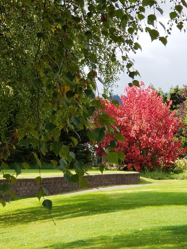 Golf Course «Mint Valley Golf Course», reviews and photos, 4002 Pennsylvania St, Longview, WA 98632, USA