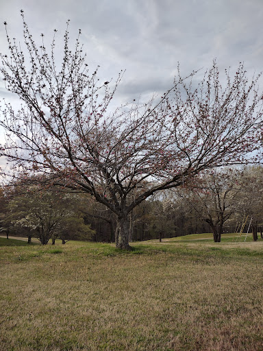 Country Club «Clarksville Country Club», reviews and photos, 334 Fairway Dr, Clarksville, TN 37043, USA