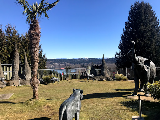 Zoo «Cougar Mountain Zoo», reviews and photos, 19525 SE 54th St, Issaquah, WA 98027, USA