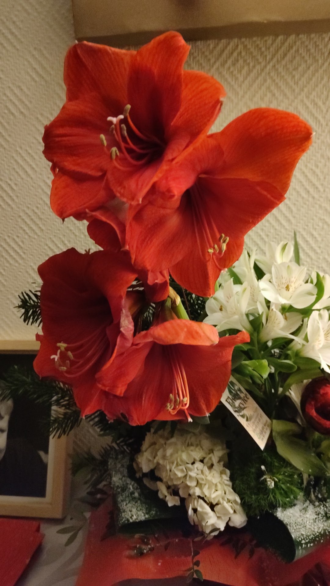 Photo n° 2 de l'avis de momo.m fait le 27/12/2023 à 18:44