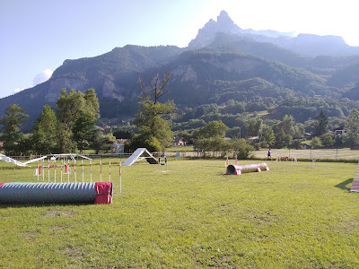 Club du Chien d'Utilisation du Mont-Blanc à Passy