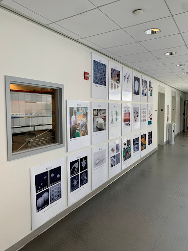 Art Center «MIT List Visual Arts Center», reviews and photos, 20 Ames St, Cambridge, MA 02142, USA