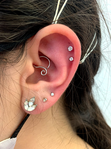 Explore dolphin tattoo ideas for females, creative tattoo ideas in Northampton, available at Haven Body Arts Piercing & Tattoo