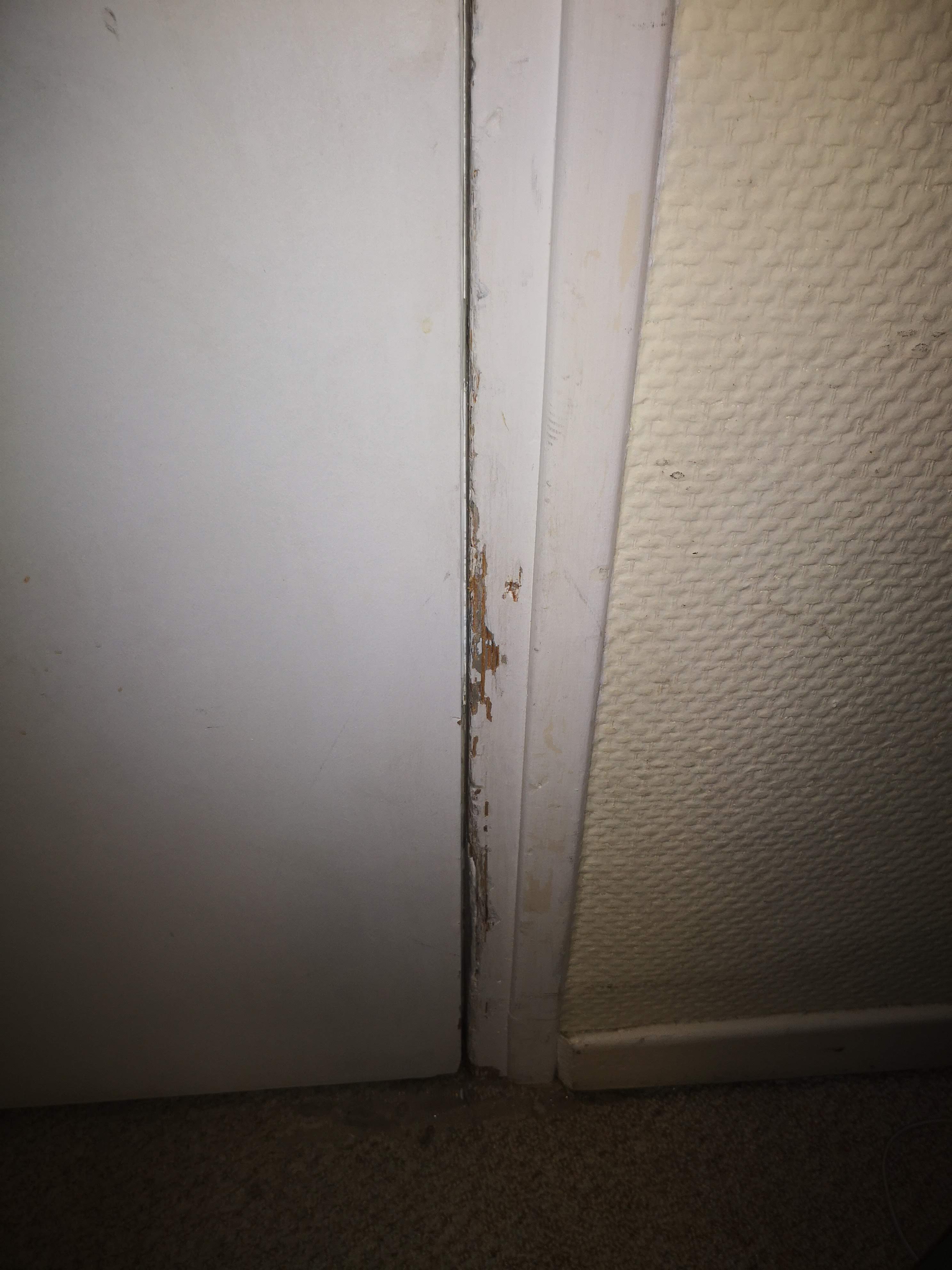 Photo n° 7 de l'avis de Juan.a fait le 05/08/2018 à 17:38