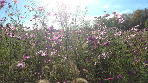 Community Center «Prairie Township Community Center», reviews and photos, 5955 W Broad St, Galloway, OH 43119, USA