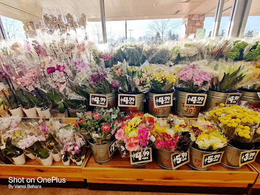 Shopping Mall «Gateway Shopping Center», reviews and photos, 221 E Swedesford Rd, Wayne, PA 19087, USA