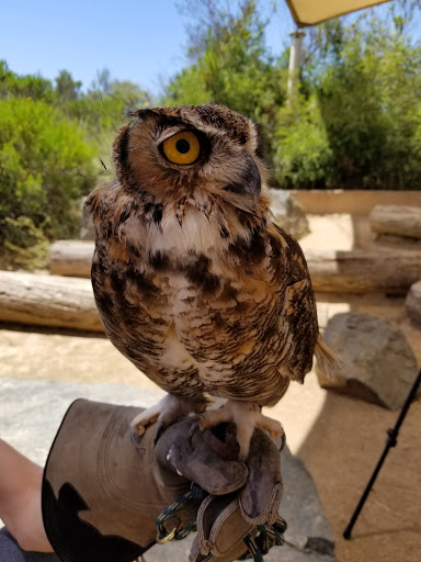 Nature Preserve «Peter and Mary Muth Interpretive Center», reviews and photos, 2301 University Dr, Newport Beach, CA 92660, USA