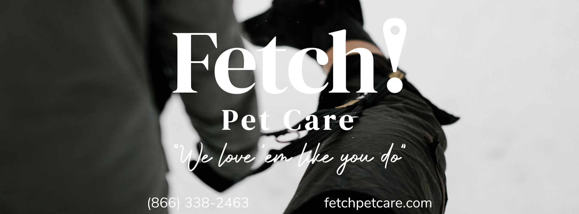 Fetch! Pet Care of Greater Schaumburg
