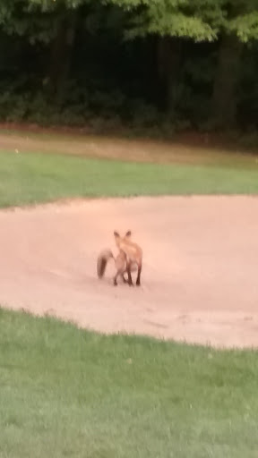 Golf Course «Pipestone Creek Golf Course», reviews and photos, 6768 Naomi Rd, Eau Claire, MI 49111, USA