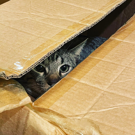 Wine Store «Cabrini Wines & Liquors», reviews and photos, 91 Pinehurst Ave, New York, NY 10033, USA