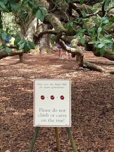 Thrift Store «Goodwill», reviews and photos, 1758 Main Rd, Johns Island, SC 29455, USA