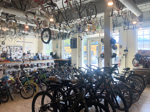 Bicycle Store «College Park Bicycles», reviews and photos, 7301 Baltimore Ave, College Park, MD 20740, USA