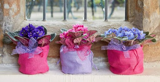 Florist «La Crosse Floral», reviews and photos, 2900 Floral Ln, La Crosse, WI 54601, USA