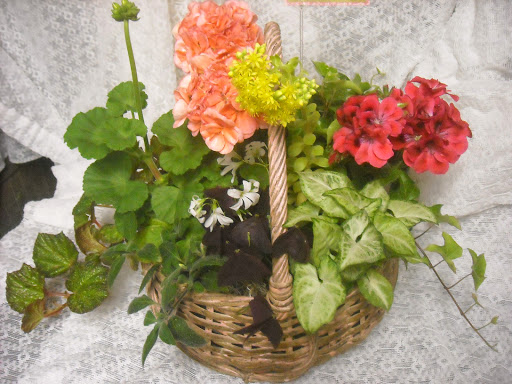 Florist «Ames Greenhouse», reviews and photos, 3011 S Duff Ave, Ames, IA 50010, USA