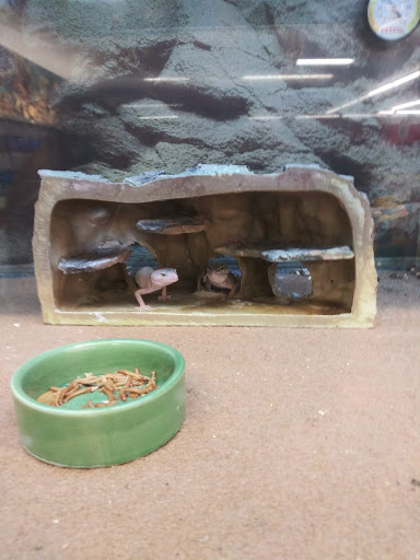 Pet Supply Store «Petco Animal Supplies», reviews and photos, 1970 S Robert St, West St Paul, MN 55118, USA