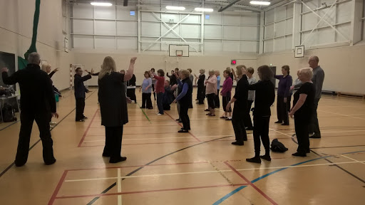 Ilona Tate Newcastle Tai Chi Qigong