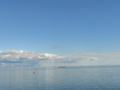 Cruiseterminalens udsigtstårn