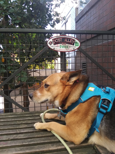 Tourist Attraction «Gum Wall», reviews and photos, 1428 Post Alley, Seattle, WA 98101, USA