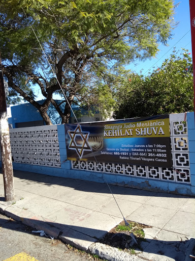 Sinagoga Kehilat Shuva