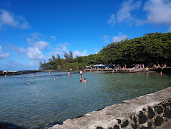 Onekahakaha Beach'in fotoğrafı çok temiz temizlik seviyesi ile