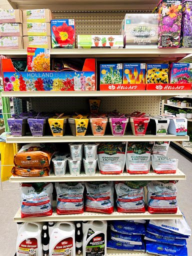 Discount Store «Big Lots», reviews and photos, 751 Good Homes Rd, Orlando, FL 32818, USA