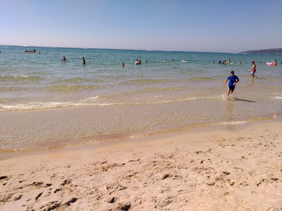 Safety Beach