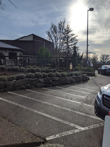 Winery «Elk Cove Vineyards», reviews and photos, 27751 NW Olson Rd, Gaston, OR 97119, USA