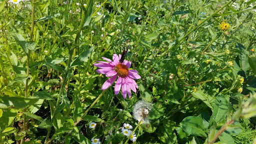 Park «Coloma Township Park District», reviews and photos, 510 E 11th St, Rock Falls, IL 61071, USA