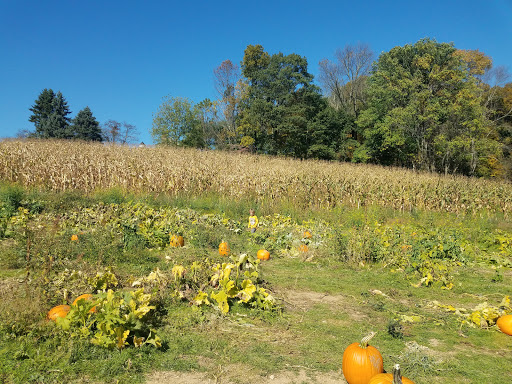 Produce Market «Parks Farms», reviews and photos, 525 NJ-24, Chester, NJ 07930, USA