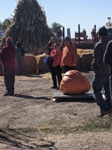 Haunted House «Hee Haw Farms & Corn Maze», reviews and photos, 150 S 2000 W, Lindon, UT 84042, USA