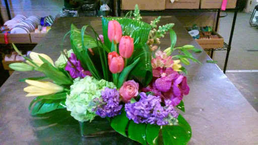 Florist «Alamo Plants & Petals», reviews and photos, 119 W Sunset Rd, San Antonio, TX 78209, USA