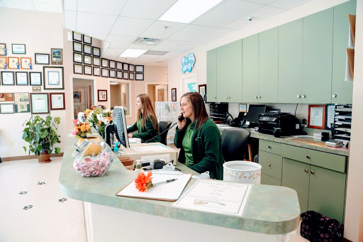 Fit N Furry Pet Resort & Training Center image