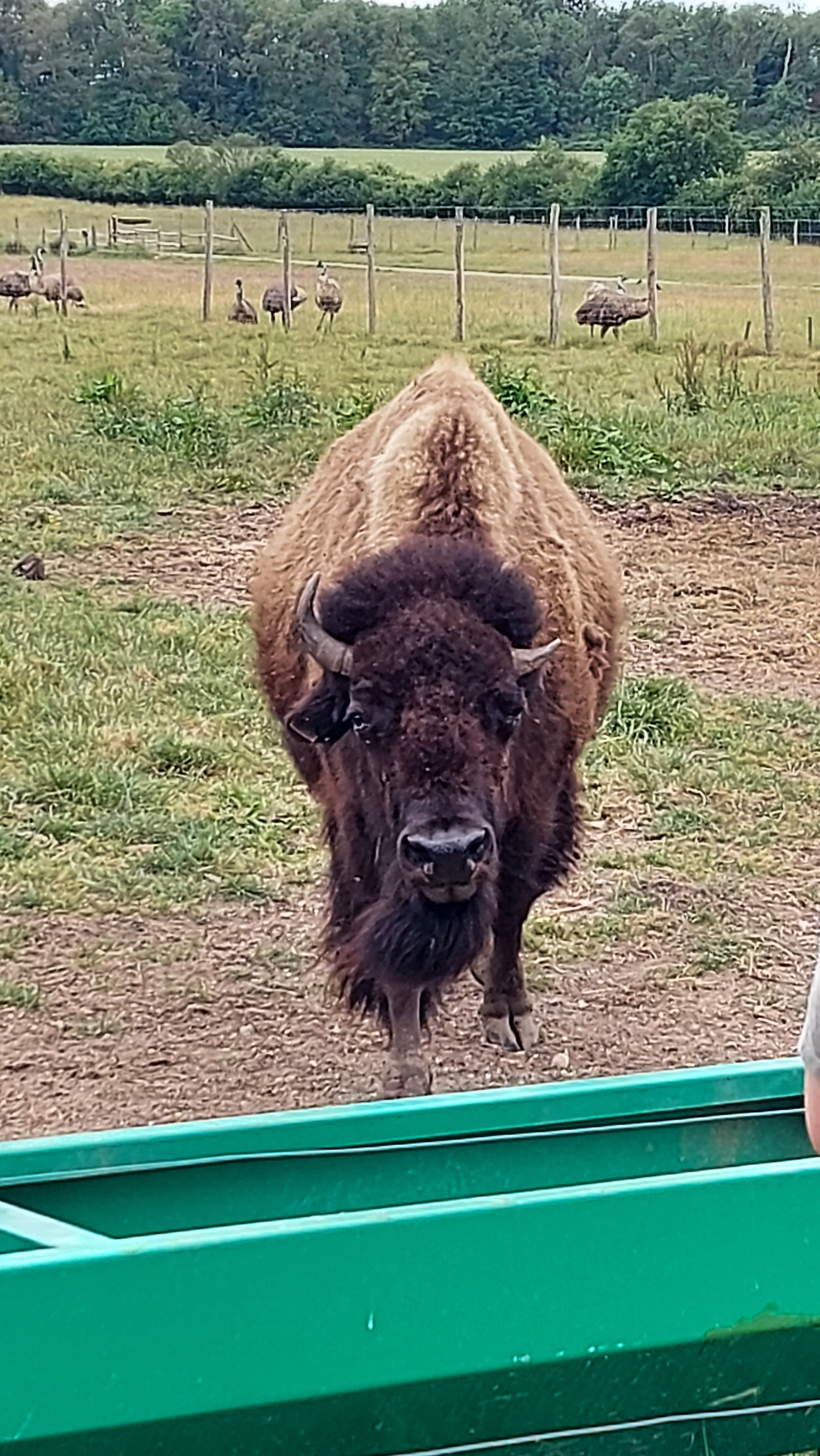 Photo n° 1 de l'avis de Anais. fait le 29/05/2022 à 19:46