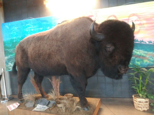 Casino «Dakota Magic Casino», reviews and photos, 16849 102nd St SE, Hankinson, ND 58041, USA