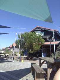 Atmosphère du Bar-restaurant à huîtres La Cabane 301 à Gujan-Mestras - n°9