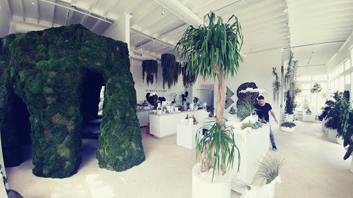 Interior Plant Service «Plant The Future, Inc.», reviews and photos, 2511 NW 2nd Ave, Miami, FL 33127, USA