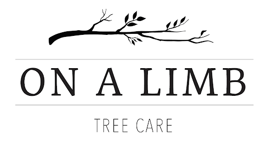 On a Limb Tree Care image 6