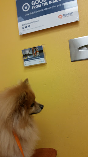 Pet Supply Store «PetSmart», reviews and photos, 4500 Mitchellville Rd, Bowie, MD 20716, USA