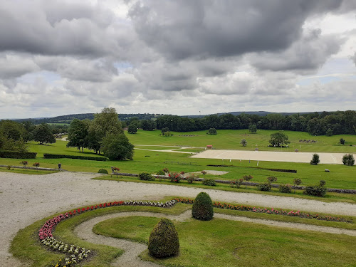 attractions Haras national du Pin Le Pin-au-Haras