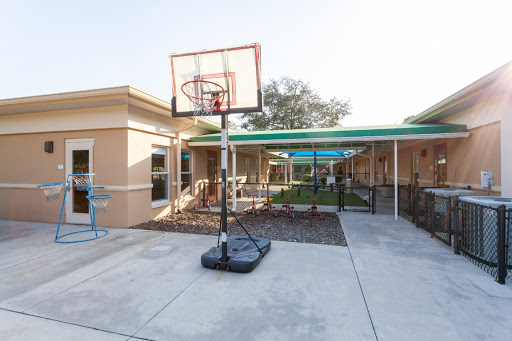 Preschool «Bright Horizons at Tampa Palms», reviews and photos, 5171 Cypress Preserve Dr, Tampa, FL 33647, USA